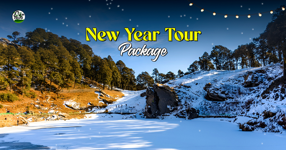 New Year trip packages 2026